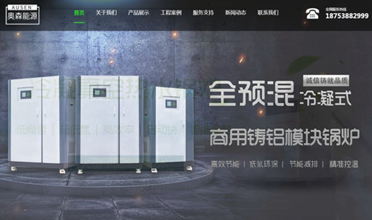 山東奧森新能源